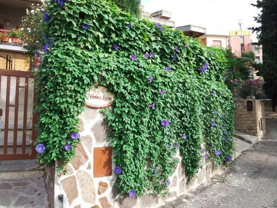 B&B Nonna Luisa Tarquinia Ngoại thất bức ảnh